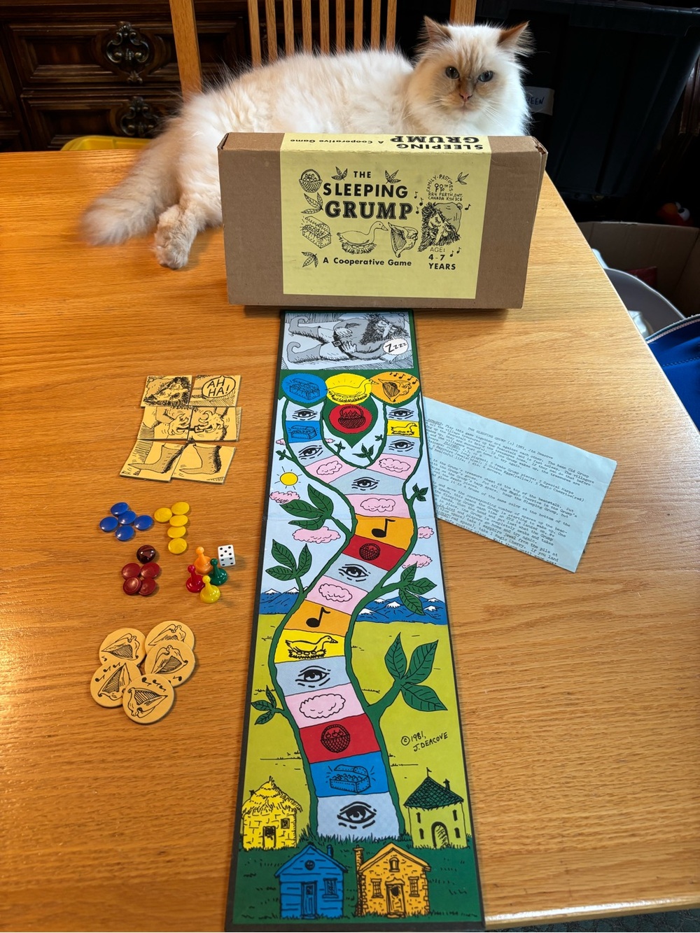 Vintage Family Pastimes "The Sleeping Grump" Cooperative Board Game (1981)